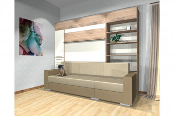 Шкаф-кровать с диваном Каролина в Раисино - raisino.mebel54.com | фото